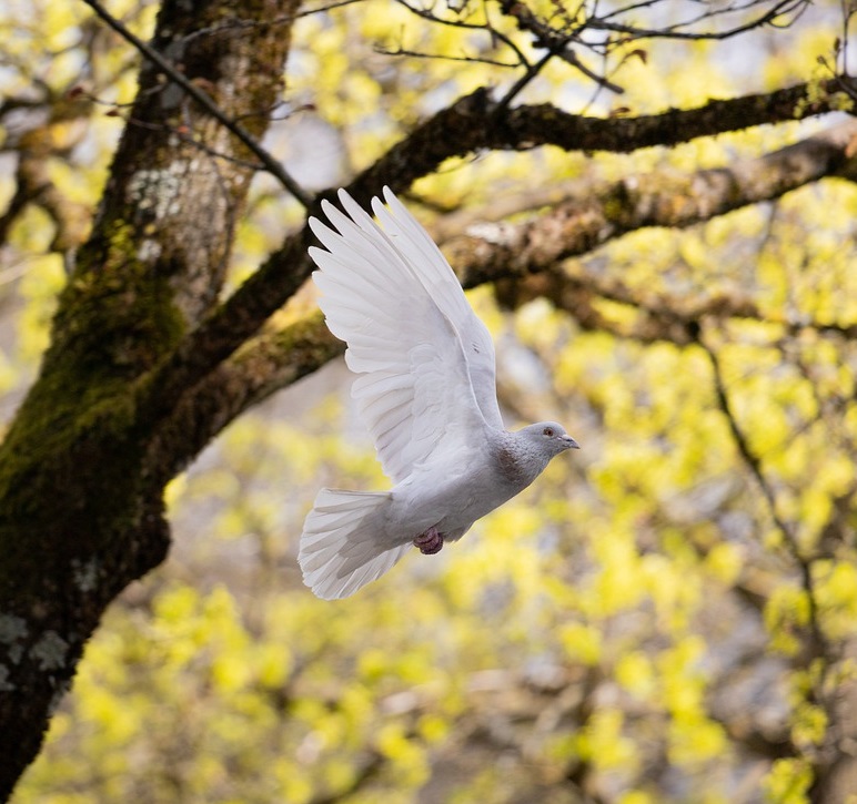 szkolenie-indywidualne Sesja indywidualna online - 50 min. - obrazek 1
