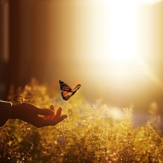 sesje idywidualne - Rafał Wereżyński